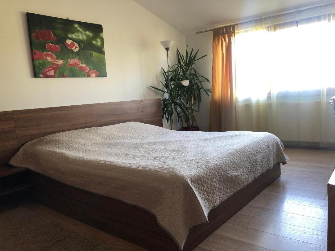 Argeselu Garden Villa - Entire Floor Apartment, Exclusive Garden Access Maracineni Ngoại thất bức ảnh