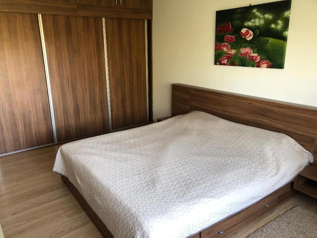 Argeselu Garden Villa - Entire Floor Apartment, Exclusive Garden Access Maracineni Ngoại thất bức ảnh